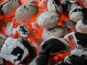 coconut shell