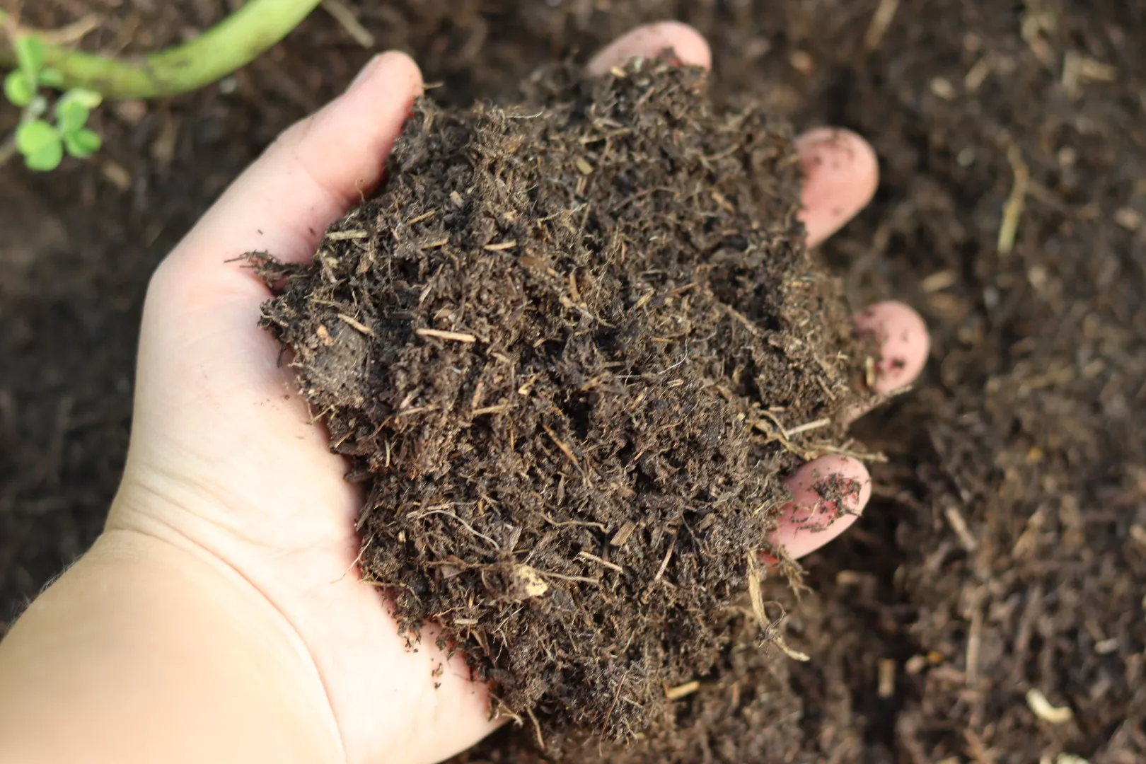 faktor pembentuk struktur tanah