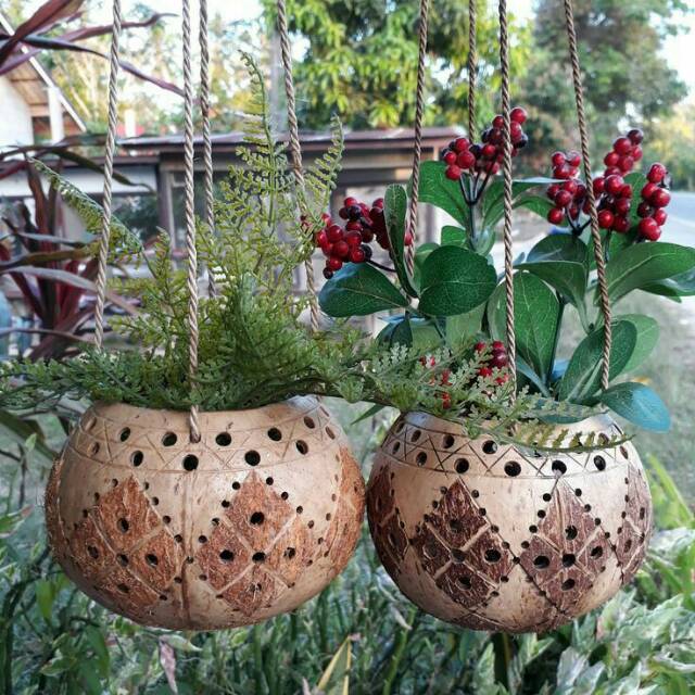 Pot Kelapa Tanaman Hias Solusi untuk Berkebun