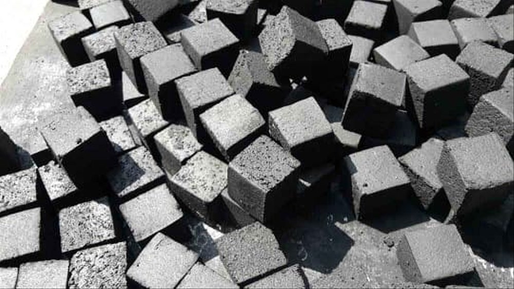 Sustainable Biomass Briquette Business