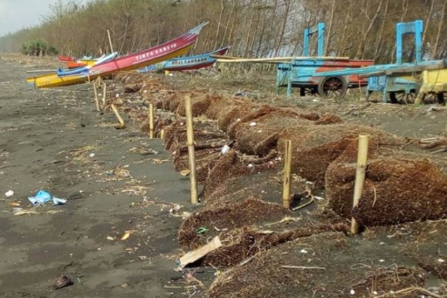 Sabut Kelapa sebagai Alat Praktikum Rehabilitasi Pantai