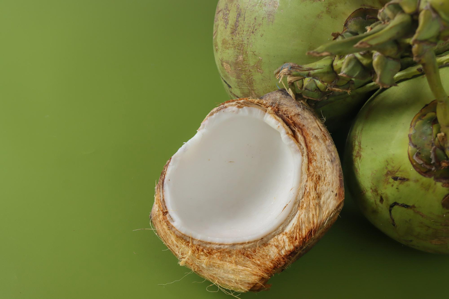 jenis jenis kelapa konsumsi